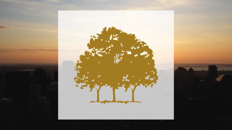 Beitragsbild zu Canopy Growth Aktie: Gewinnzone voraus!