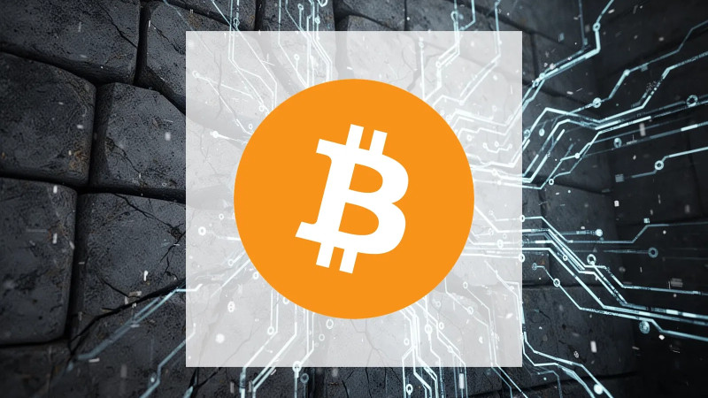 Beitragsbild zu Bitcoin: Staat gegen Institutionen