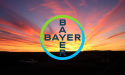 Beitragsbild zu Bayer Aktie: Endlich der Durchbruch!