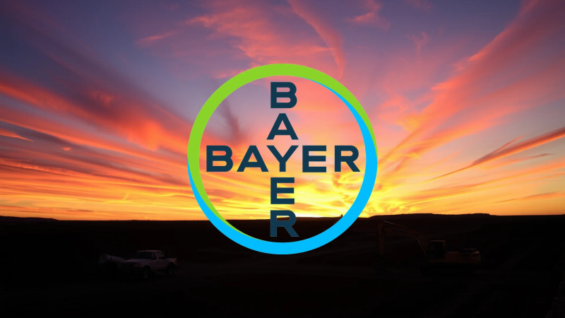 Beitragsbild zu Bayer Aktie: Endlich der Durchbruch!