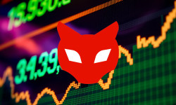 Beitragsbild zu Red Cat Aktie: Paradoxe Reaktion