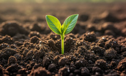 Beitragsbild zu WisdomTree Carbon ETF: Bodenbildung?