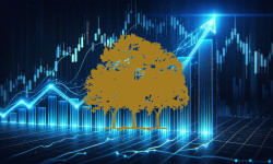 Beitragsbild zu Canopy Growth Aktie: Abstieg beschleunigt!