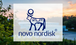 Beitragsbild zu Novo Nordisk-Aktie: Unfassbare Meldung!