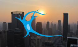 Beitragsbild zu Newron-Aktie: Insider schlägt Alarm!