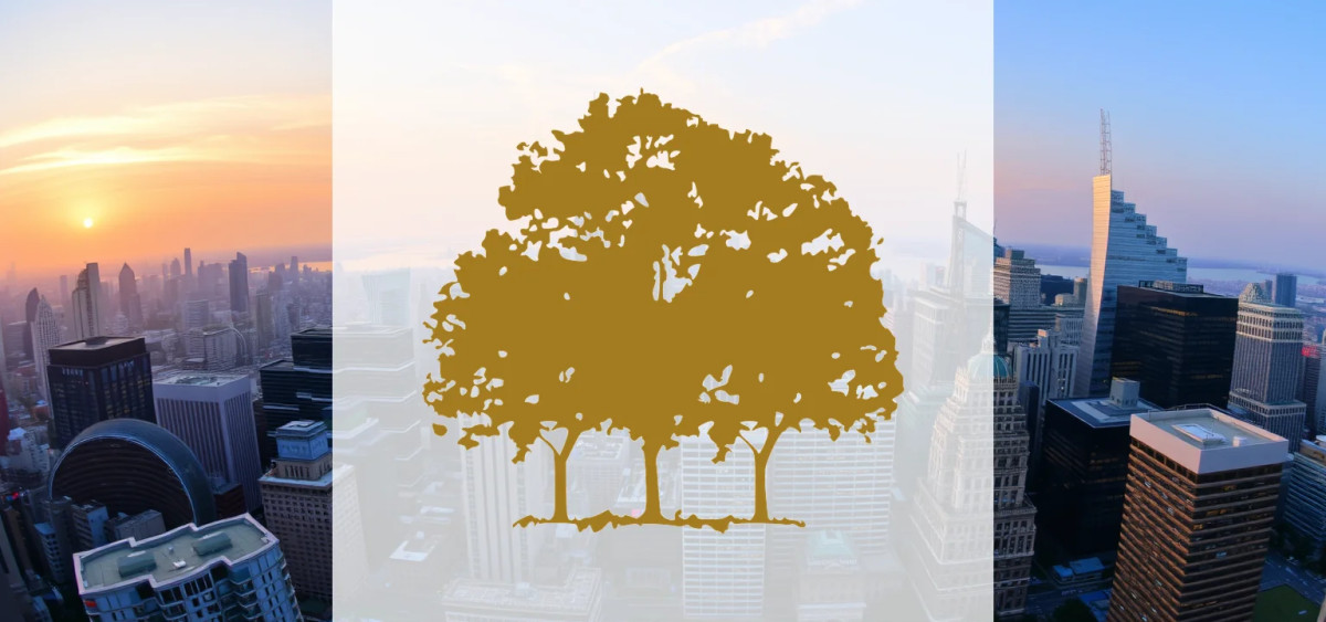 Beitragsbild zu Canopy Growth Aktie: 200 Millionen Dollar Kapitalspritze