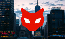 Beitragsbild zu Red Cat Aktie: Optimism pur!