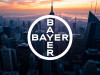 Beitragsbild zu Bayer Aktie: Alles umsonst?
