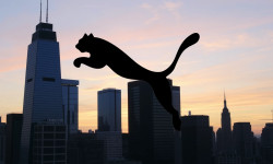 Beitragsbild zu Puma Aktie: China-Bremse