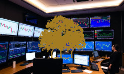 Beitragsbild zu Canopy Growth Aktie: Verluste halbiert