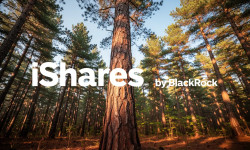 Beitragsbild zu Global Timber ETF: Operative Stärke überzeugt
