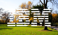 Beitragsbild zu IBM Aktie: KI-Boom ohne Wirkung?