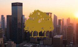 Beitragsbild zu Canopy Growth Aktie: Skepsis dominiert