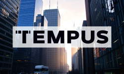 Beitragsbild zu Tempus AI Aktie: Harmonische Marktsituation