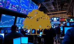 Beitragsbild zu Canopy Growth Aktie: Risiko bleibt hoch