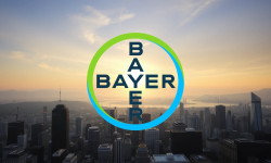 Beitragsbild zu Bayer Aktie: Endlich der Durchbruch?