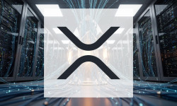 Beitragsbild zu XRP: Institutioneller Durchbruch