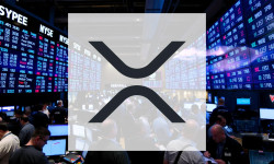 Beitragsbild zu XRP: Auf Wachstumskurs!