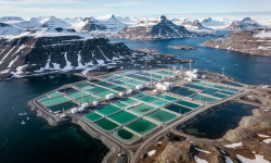 Beitragsbild zu European Lithium Aktie: Starke Daten aus Grönland