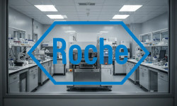 Beitragsbild zu Roche Aktie: Herber Rückschlag