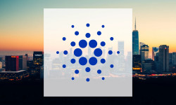 Beitragsbild zu Cardano: Die 70-Millionen-Wette!