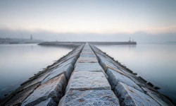 Beitragsbild zu Vanguard High Dividend ETF: Stabilität gesucht