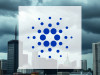 Beitragsbild zu Cardano: Midnight-Start belastet