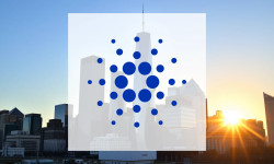 Beitragsbild zu Cardano: Wale greifen zu – Durchbruch voraus?