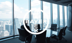 Beitragsbild zu Bayer Aktie: Goldman Sachs schockt!