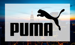 Beitragsbild zu Puma Aktie: Bilanz-Zahlen veröffentlicht