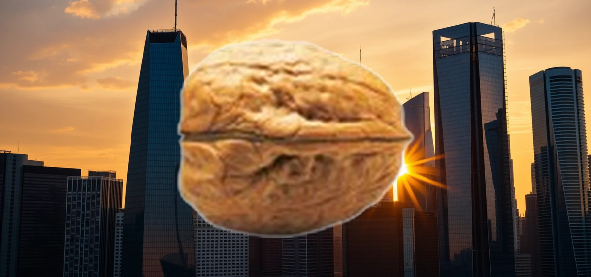 Beitragsbild zu PSI Software Aktie: Fakten geschaffen