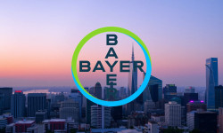 Beitragsbild zu Bayer-Aktie: Der Mega-Angriff!