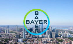 Beitragsbild zu Bayer Aktie: Durchbruch im Glyphosat-Streit