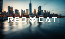 Beitragsbild zu Red Cat Aktie: Sorgenfalten intensiver?