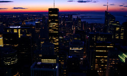 Beitragsbild zu Vaidya Sane Aktie: Fokus auf Expansion