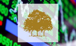 Beitragsbild zu Canopy Growth Aktie: Kampf an zwei Fronten