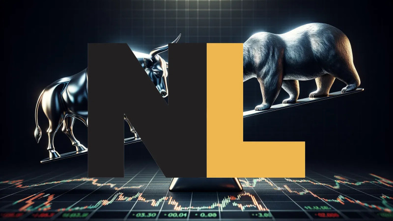 Beitragsbild zu NL Industries Aktie: Margen im Fokus