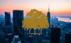 Beitragsbild zu Canopy Growth Aktie: Stabilisierung über Marke