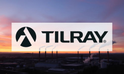 Beitragsbild zu Tilray Aktie: Trump-Hoffnung vs. harte Realität