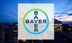 Beitragsbild zu Bayer Aktie: Nächster Schock!