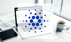 Beitragsbild zu Cardano: Entscheidende Phase