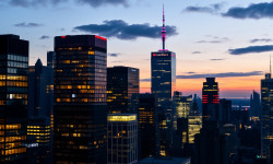 Beitragsbild zu BioNxt Aktie: MS-Durchbruch steht bevor!