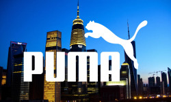 Beitragsbild zu Puma-Aktie: Der große Irrtum!
