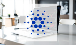 Beitragsbild zu Cardano: Schwankungen beobachtet