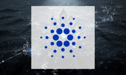 Beitragsbild zu Cardano: Wale ziehen Reißleine