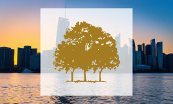 Beitragsbild zu Canopy Growth Aktie: Bedenkliche Tendenzen!