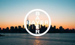 Beitragsbild zu Bayer Aktie: Wird 2025 das Wendejahr?