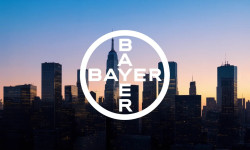 Beitragsbild zu Bayer-Aktie: Es geht jetzt los!