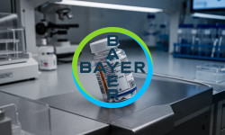 Beitragsbild zu Bayer Aktie: Ausblick drückt