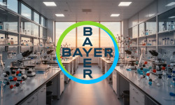 Beitragsbild zu Bayer Aktie: Wachstumsstory begeistert